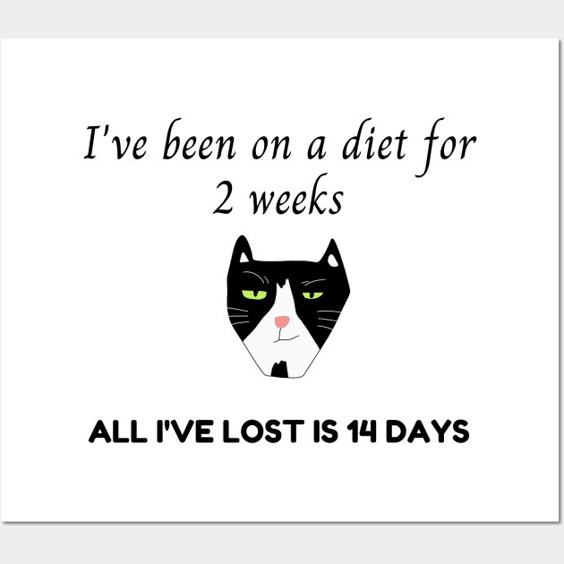 Funny Diet Cat Shirt,  Grumpy Person TShirt, Fun T-Shirt,  2 Weeks Top, Not Losing Weight Tee, Diet Wall Art by Coffee Conceptions